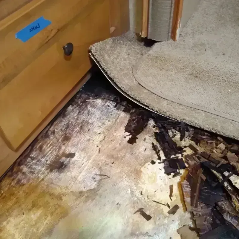 Best Wood Floor Water Damage Service in Calumet Park, IL